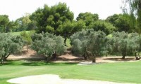 villamartin golf course